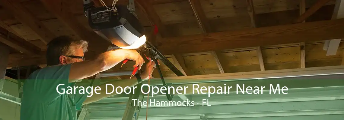 Garage Door Opener Repair Near Me The Hammocks - FL
