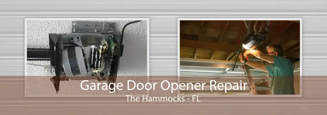 Garage Door Opener Repair The Hammocks - FL