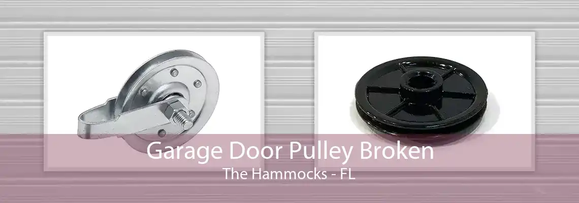 Garage Door Pulley Broken The Hammocks - FL