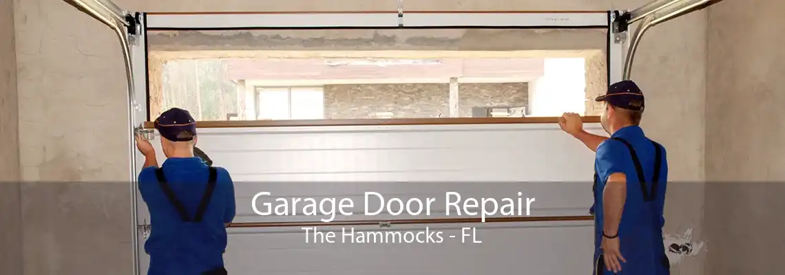 Garage Door Repair The Hammocks - FL