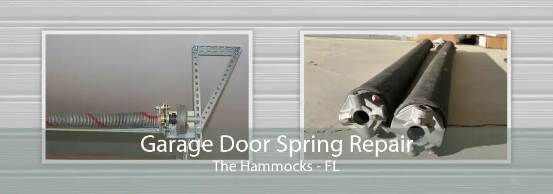 Garage Door Spring Repair The Hammocks - FL