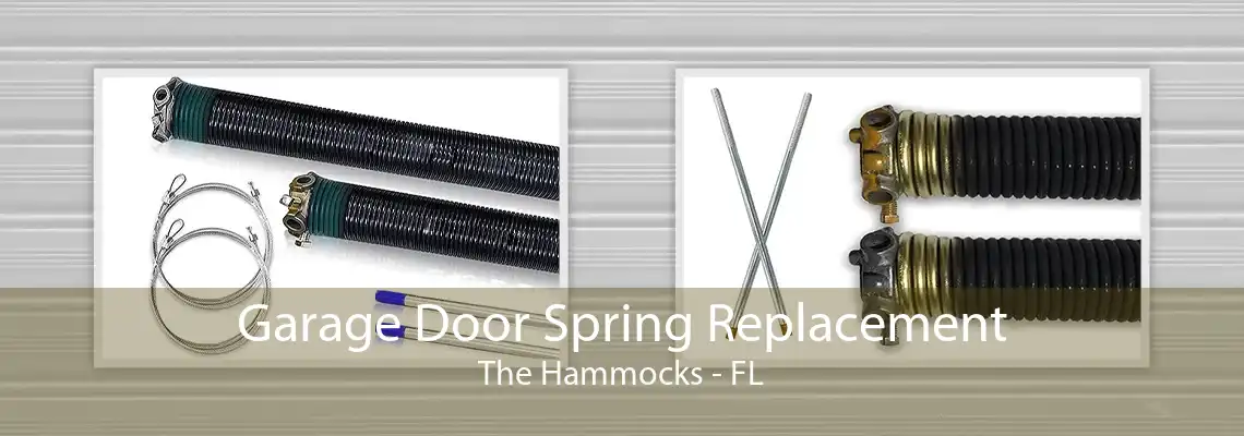 Garage Door Spring Replacement The Hammocks - FL