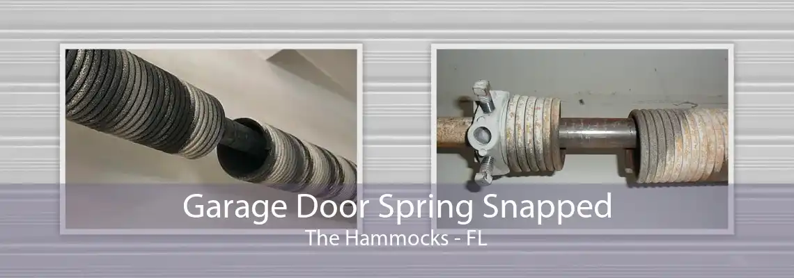 Garage Door Spring Snapped The Hammocks - FL