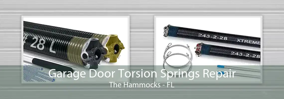 Garage Door Torsion Springs Repair The Hammocks - FL