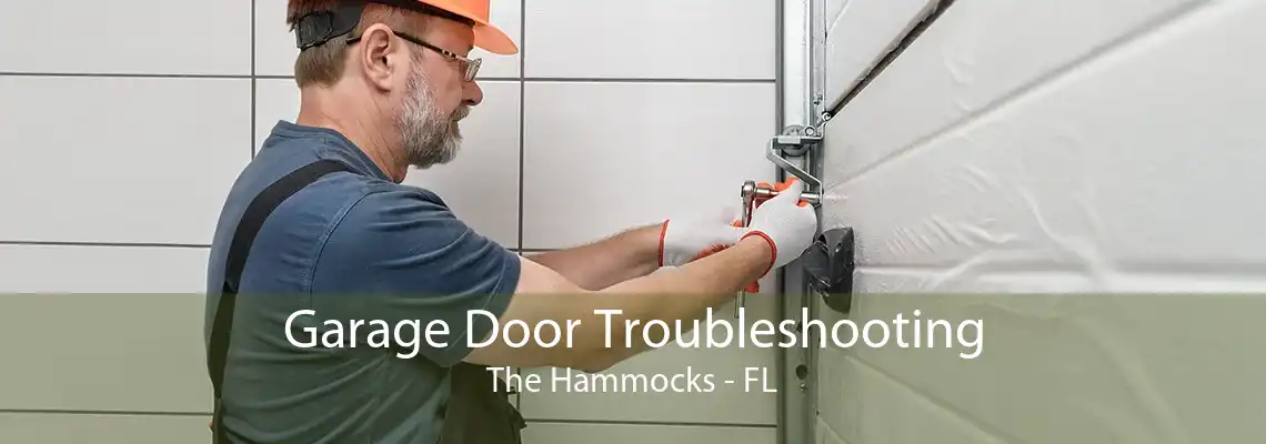 Garage Door Troubleshooting The Hammocks - FL