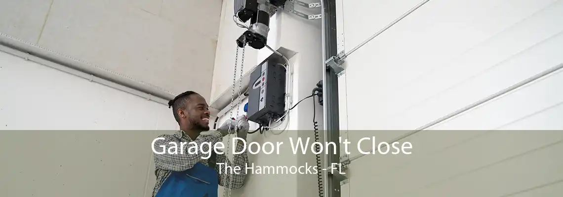 Garage Door Won't Close The Hammocks - FL