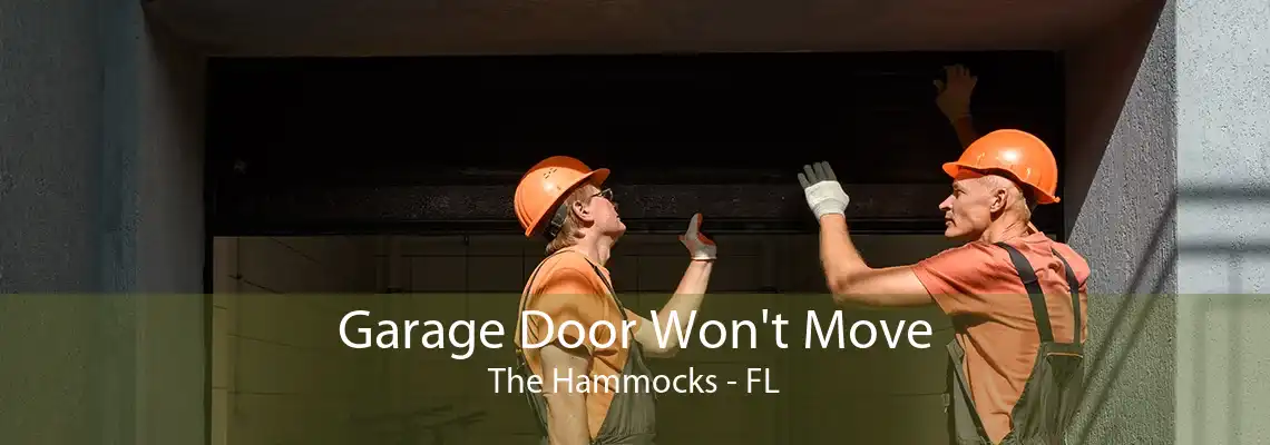 Garage Door Won't Move The Hammocks - FL