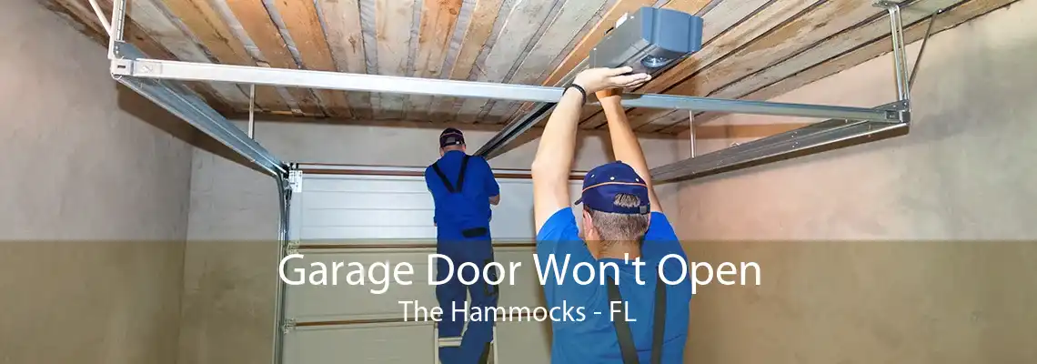 Garage Door Won't Open The Hammocks - FL