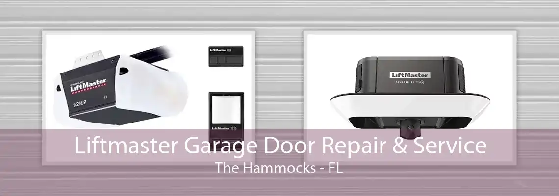 Liftmaster Garage Door Repair & Service The Hammocks - FL
