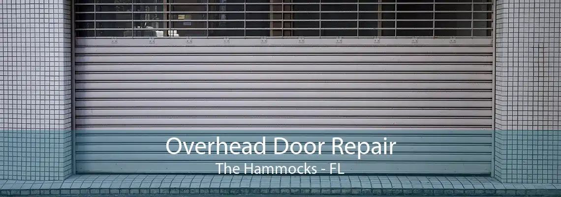 Overhead Door Repair The Hammocks - FL