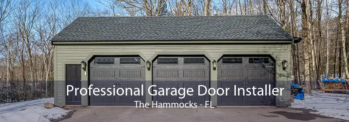 Professional Garage Door Installer The Hammocks - FL