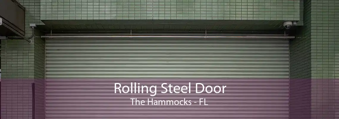 Rolling Steel Door The Hammocks - FL