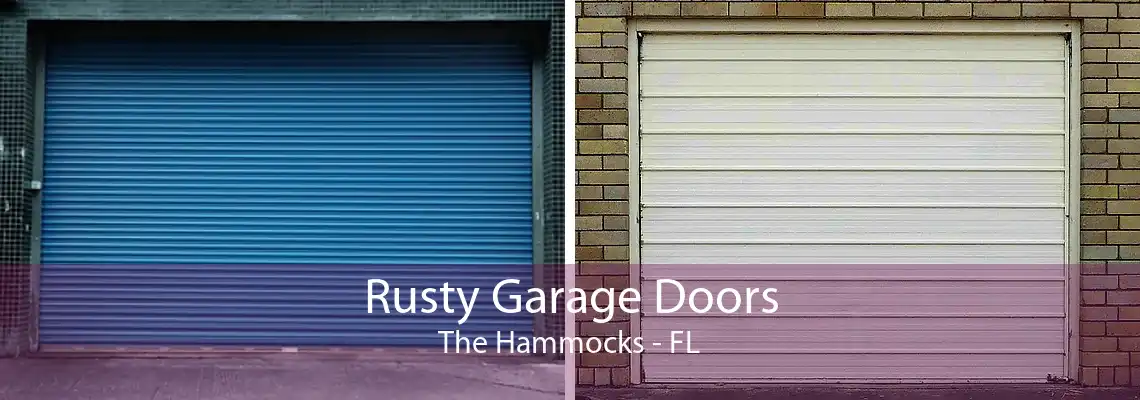 Rusty Garage Doors The Hammocks - FL
