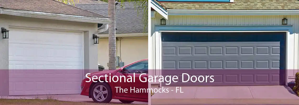 Sectional Garage Doors The Hammocks - FL