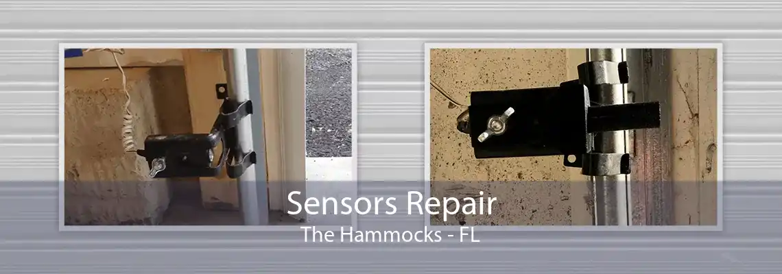 Sensors Repair The Hammocks - FL